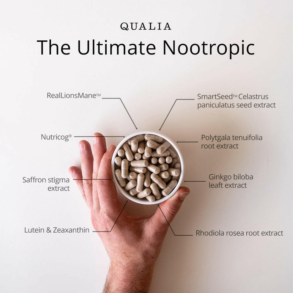Qualia Mind 2.0 – Advanced Nootropic for Focus, Memory & Mental Clarity (120 Capsules).