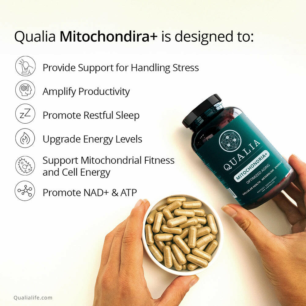 Qualia Mitochondria+ | 34-Ingredient Mitochondrial & Cellular Energy Support.