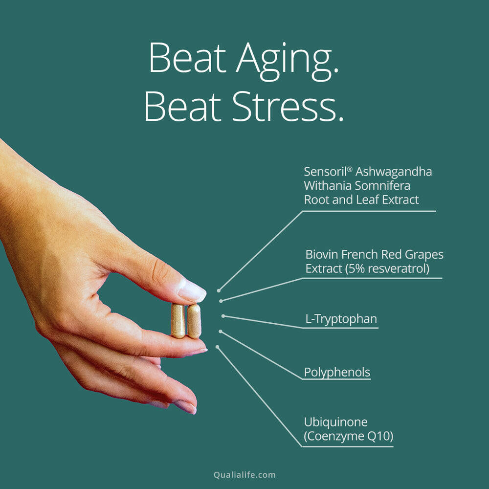 Qualia Mitochondria+ | 34-Ingredient Mitochondrial & Cellular Energy Support.