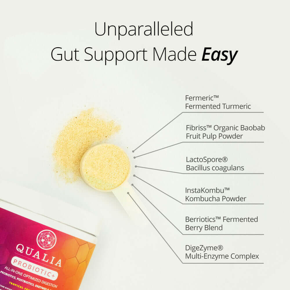 Qualia Probiotic+ | All-in-One Gut Support with Probiotics, Enzymes & Fermented Blend.