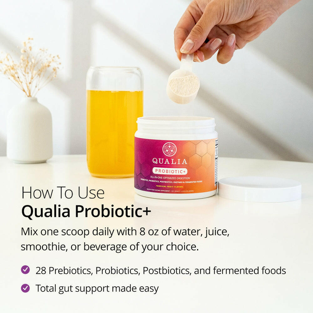 Qualia Probiotic+ | All-in-One Gut Support with Probiotics, Enzymes & Fermented Blend.