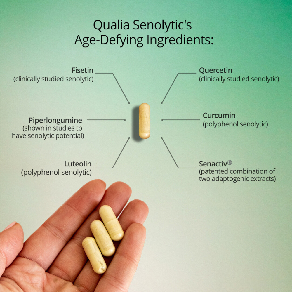 Qualia Senolytic – Two-Day Cellular Rejuvenation Regimen (12 Capsules).