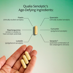 Qualia Senolytic – Two-Day Cellular Rejuvenation Regimen (12 Capsules).
